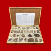 30件装笔石动物化石标本