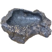 奇石珊瑚虫化石花篮小型蜂窝化石塔香座多肉植物花盆原石石头摆件