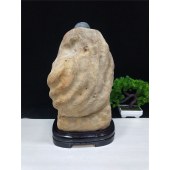 包邮精品石头幽兰石摆件原石古陶石贵州青收藏装饰贡石观赏石奇石